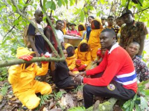 Nigeria (Wald-Ressource)
